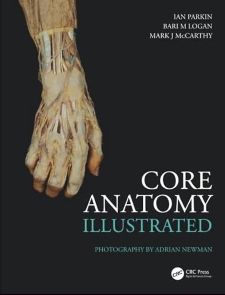 Core Anatomy - Illustrated