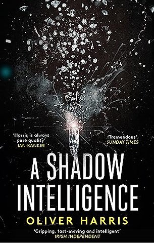 A Shadow Intelligence