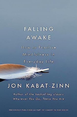Falling Awake