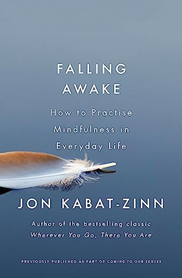 Falling Awake