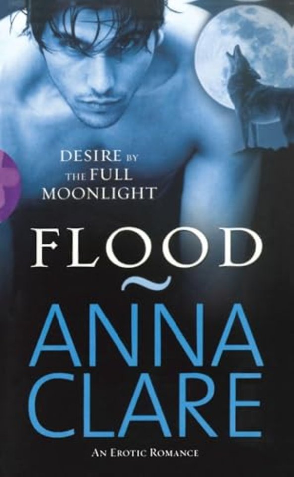 Flood