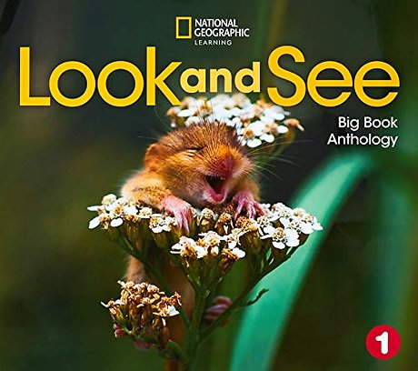 Look and See 1: Big Book Anthology