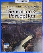 Sensation and Perception