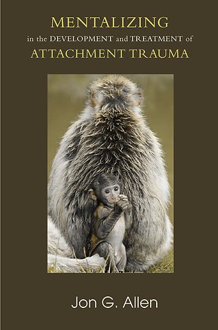 Developments in Psychoanalysis Series