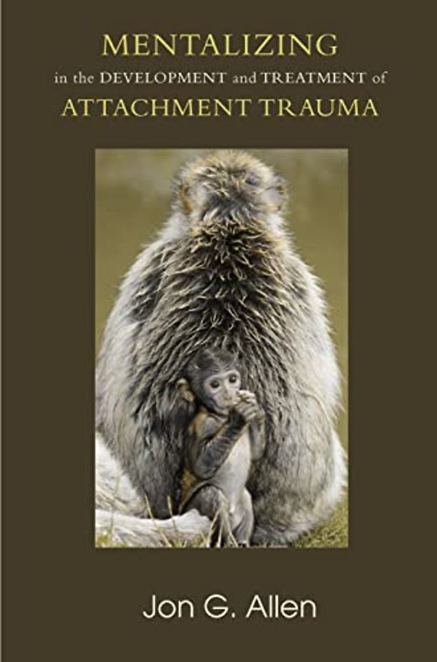 Developments in Psychoanalysis Series