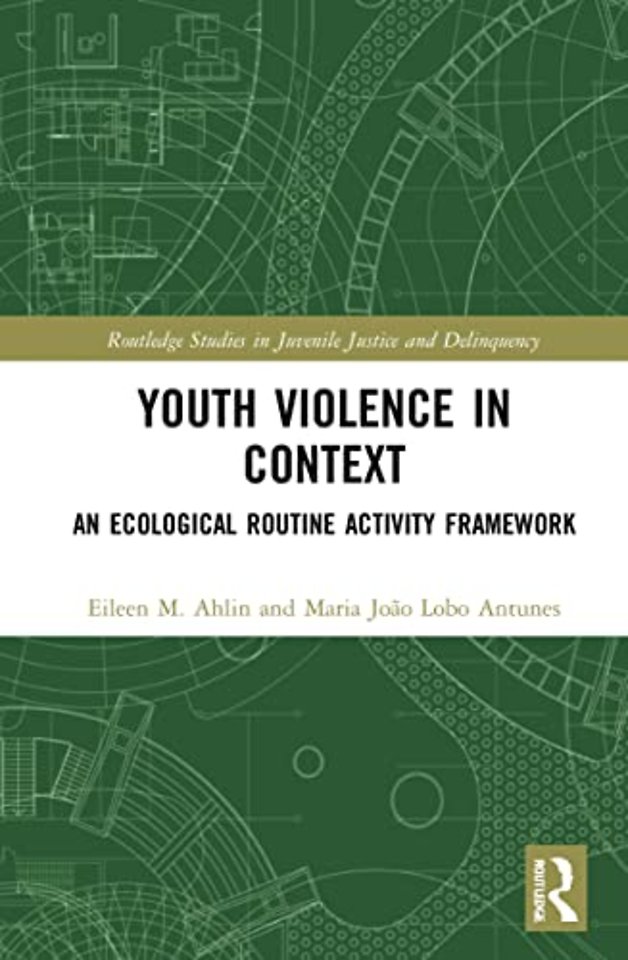 Youth Violence in Context