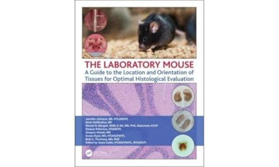 Laboratory Mouse