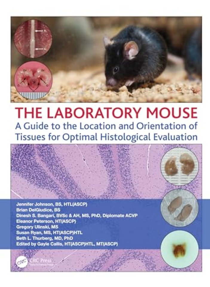 Laboratory Mouse