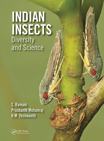 Indian Insects