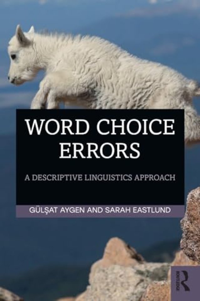 Word Choice Errors