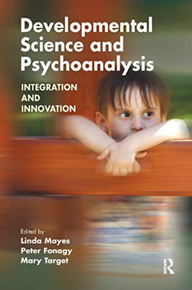Developments in Psychoanalysis Series