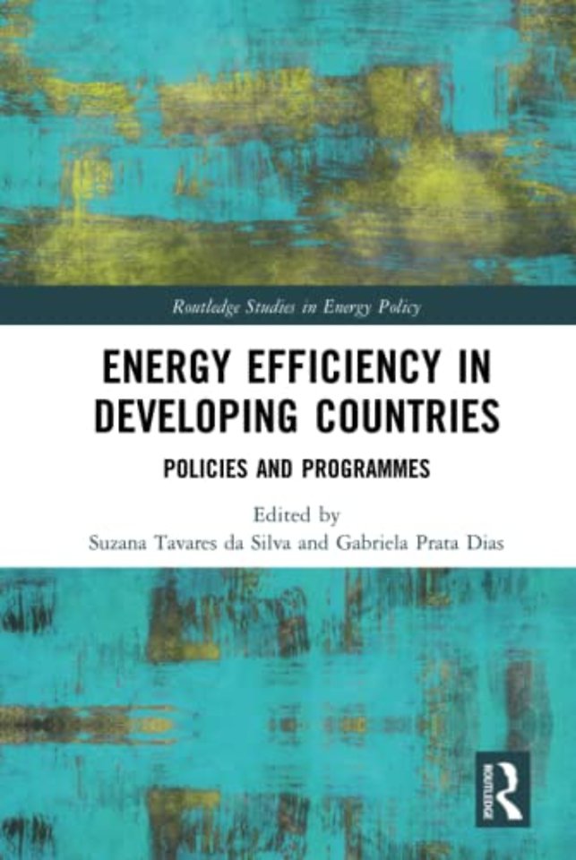 Energy Efficiency in Developing Countries