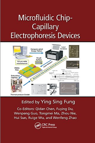 Microfluidic Chip-Capillary Electrophoresis Devices