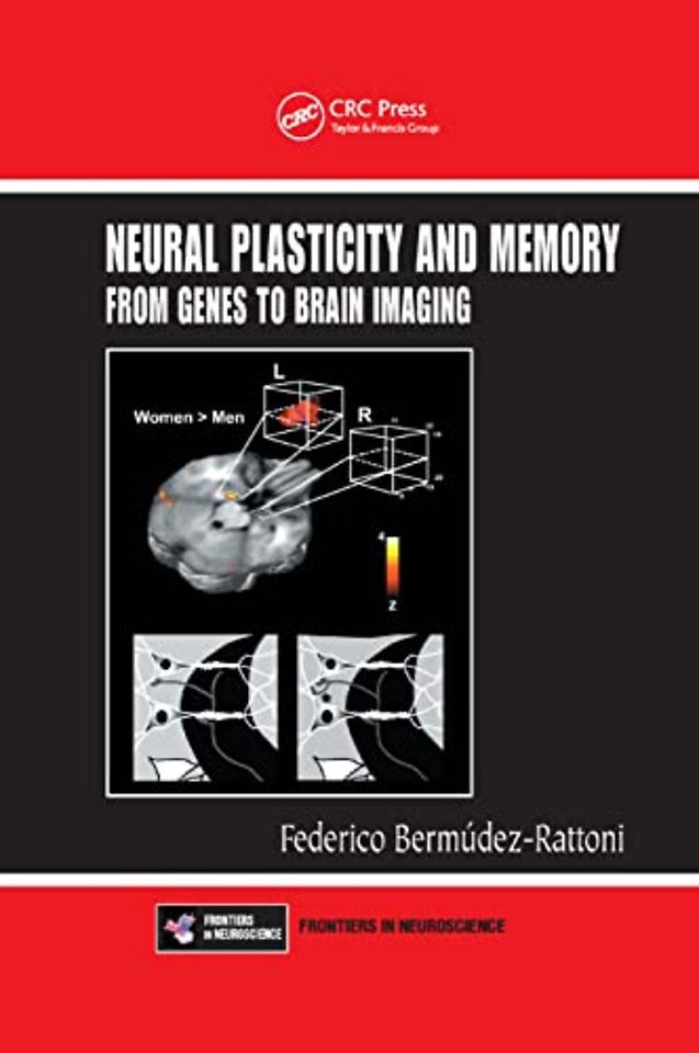 Neural Plasticity and Memory