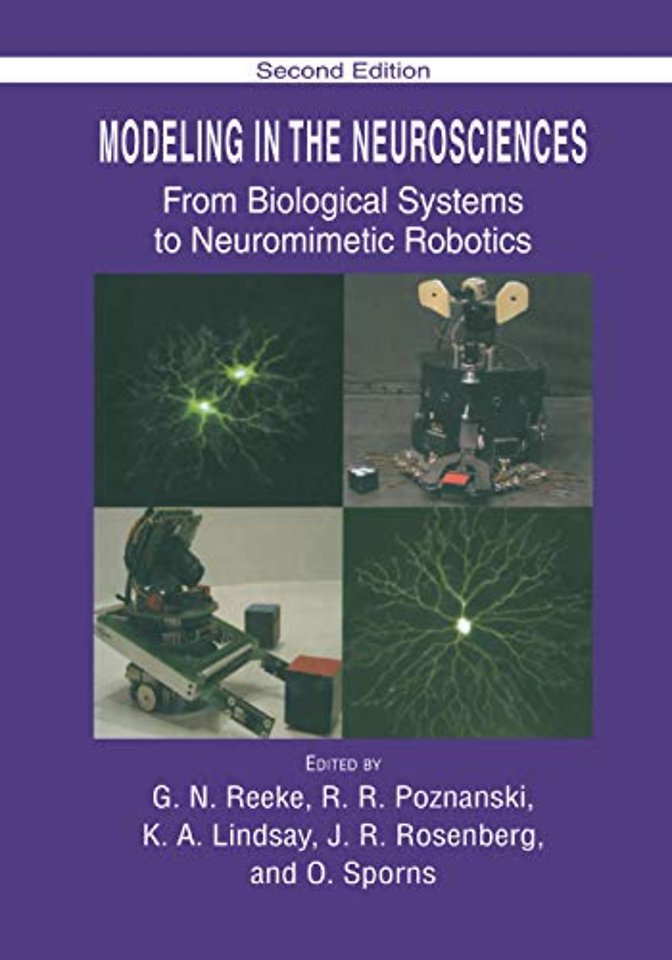 Modeling in the Neurosciences