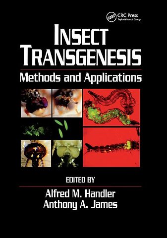 Insect Transgenesis