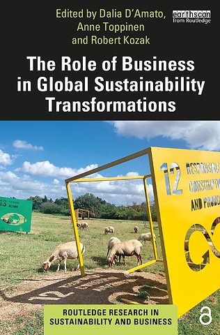 Role of Business in Global Sustainability Transformations