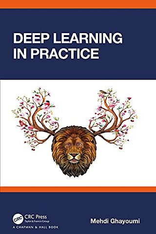 Deep Learning in Practice