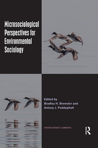 Microsociological Perspectives for Environmental Sociology