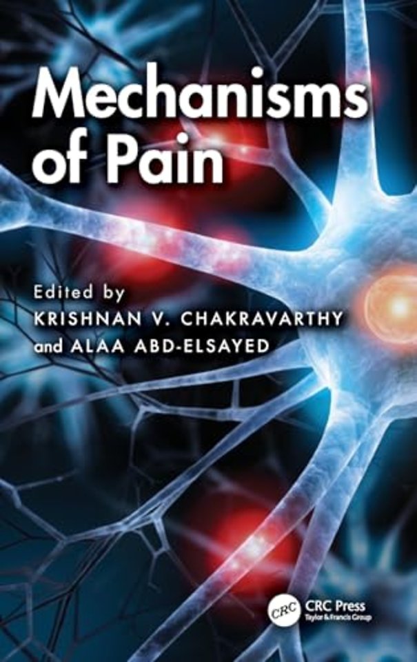 Mechanisms of Pain