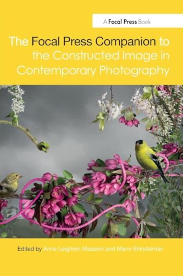 Focal Press Companion to the Constructed Image in Contemporary Photography