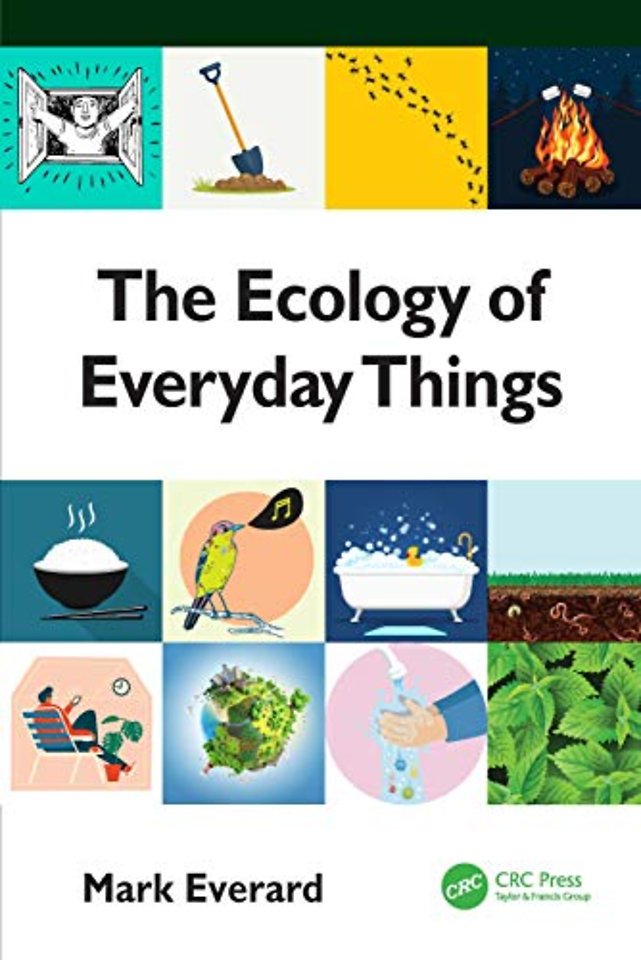 Ecology of Everyday Things