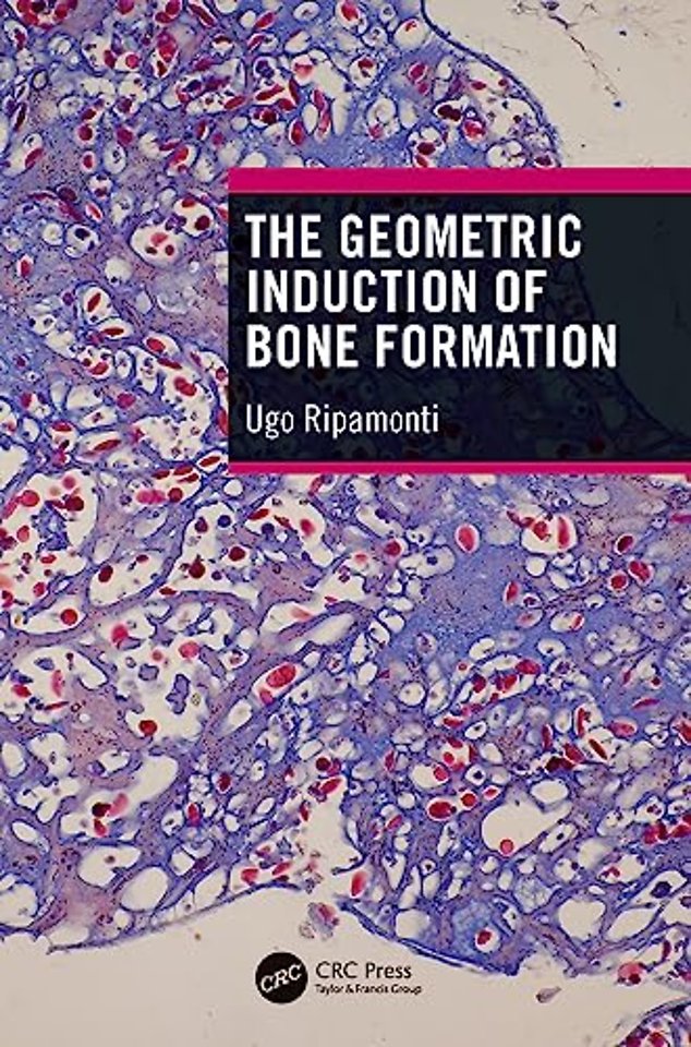 Geometric Induction of Bone Formation