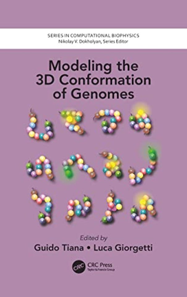 Modeling the 3D Conformation of Genomes