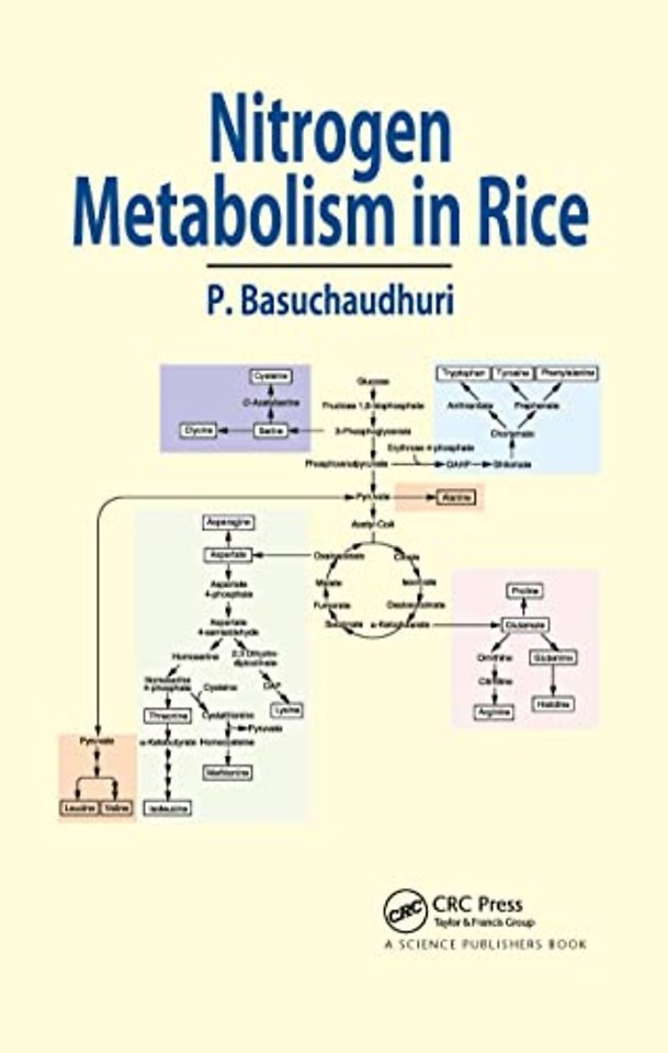 Nitrogen Metabolism in Rice