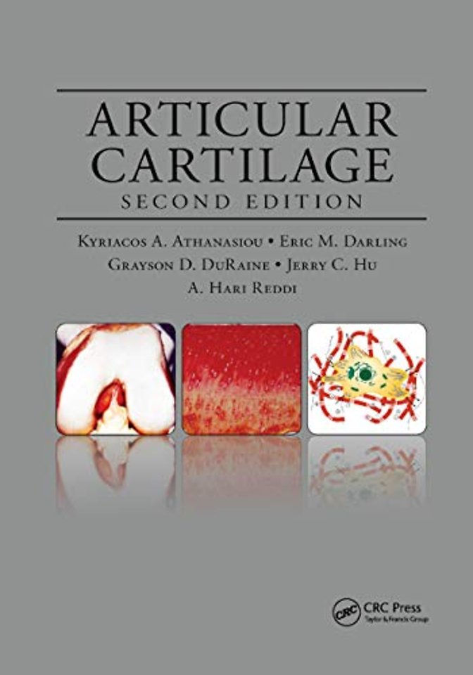 Articular Cartilage