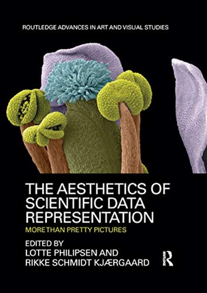 Aesthetics of Scientific Data Representation