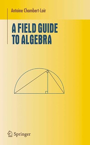 A Field Guide to Algebra