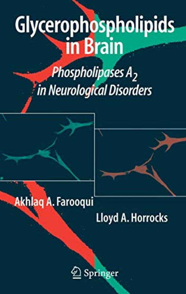 Glycerophospholipids in the Brain