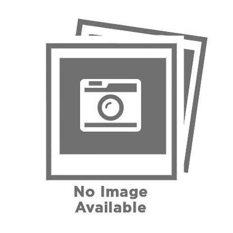 Deformable Models