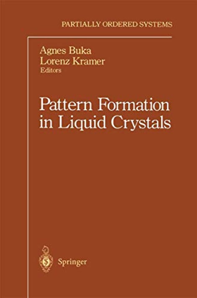 Pattern Formation in Liquid Crystals