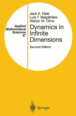 Dynamics in Infinite Dimensions