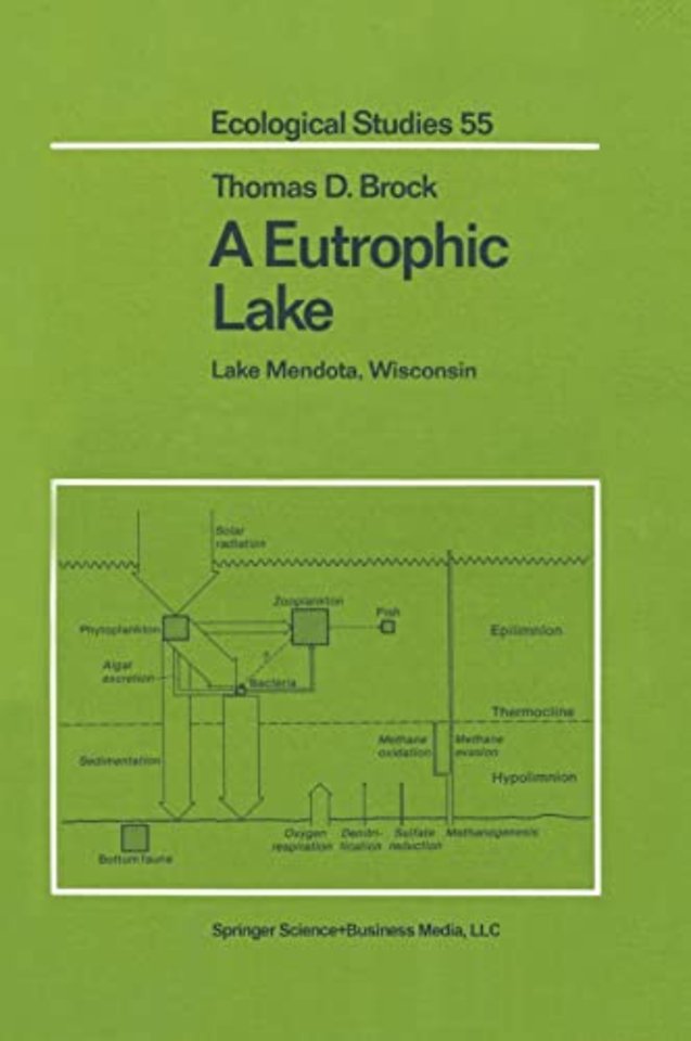 A Eutrophic Lake
