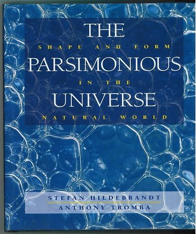The Parsimonious Universe
