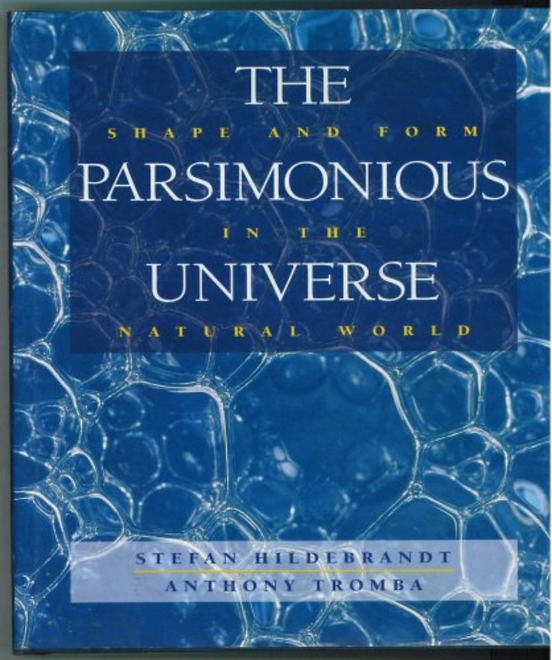 The Parsimonious Universe