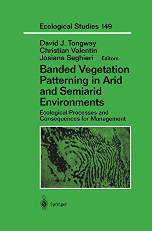 Banded Vegetation Patterning in Arid and Semiarid Environments