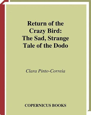 Return of the Crazy Bird