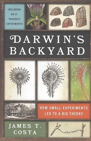 Darwin's Backyard