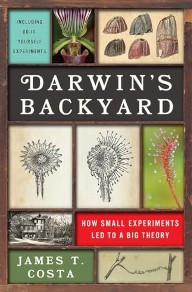 Darwin's Backyard