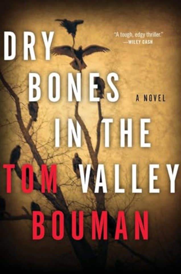 Dry Bones in the Valley – A Novel