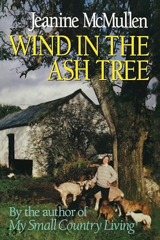 Wind in the Ash Tree