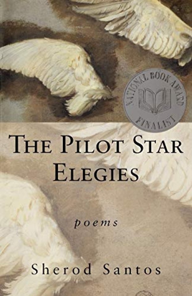 The Pilot Star Elegies – Poems