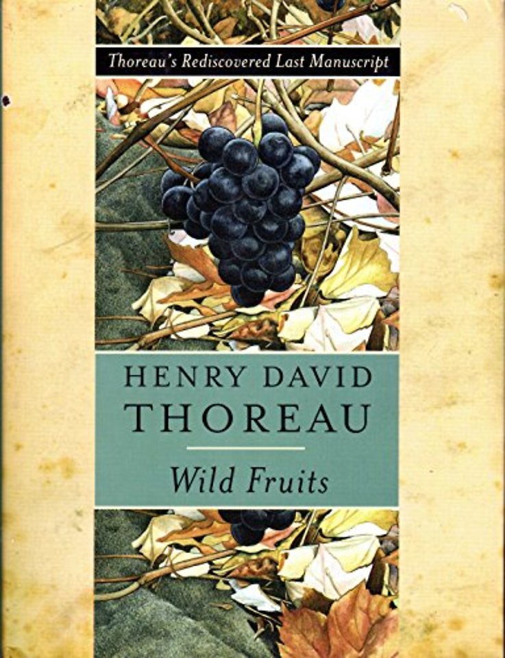 Wild Fruits