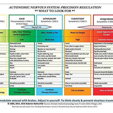 Autonomic Nervous System Table – Laminated Card