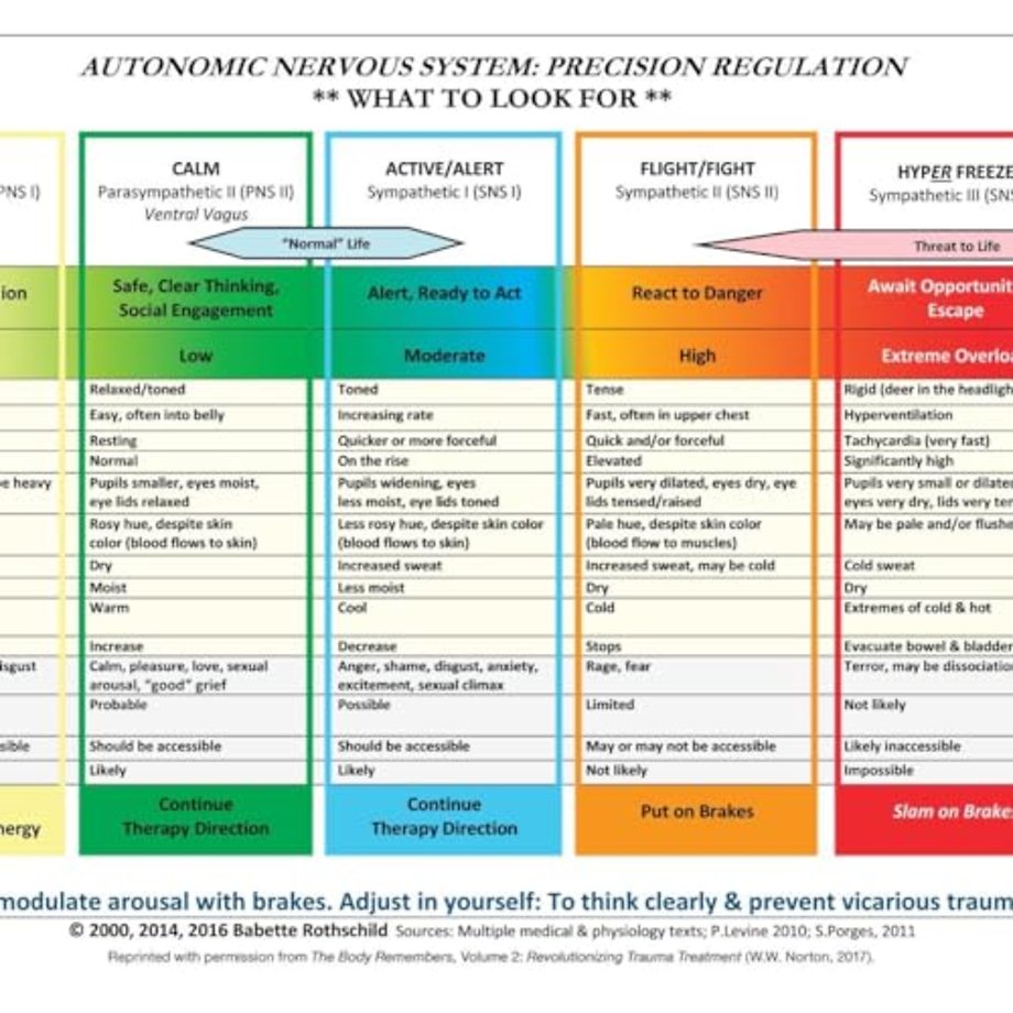 Autonomic Nervous System Table – Laminated Card