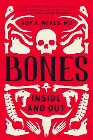 Bones